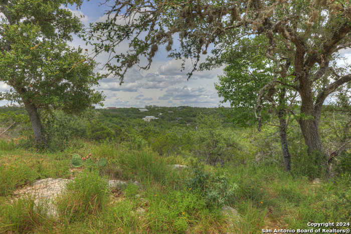 photo 1: 151 NIGHTHAWK LN, Canyon Lake TX 78133