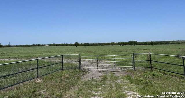 photo 2: 39.76 ACRES FM 2049, Three Rivers TX 78071