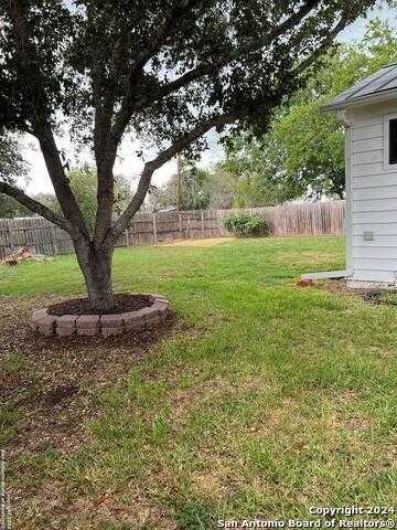 photo 3: 614 8th, Kenedy TX 78119