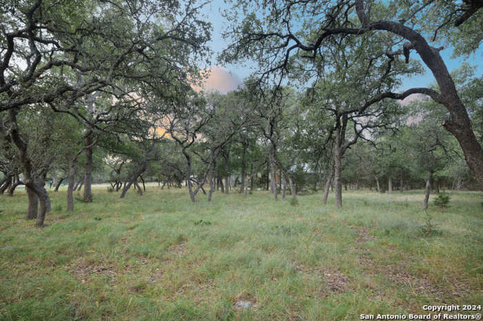 photo 51: 204 SANDY OAKS DR, Boerne TX 78015