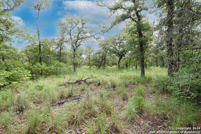 photo 1: TBD VIVROUX RANCH RD, Seguin TX 78155