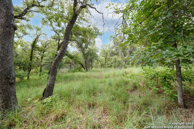 photo 2: TBD VIVROUX RANCH RD, Seguin TX 78155