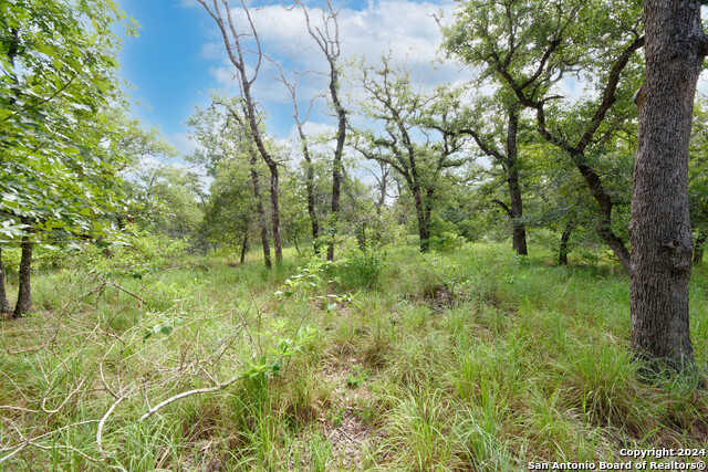 photo 3: TBD VIVROUX RANCH RD, Seguin TX 78155