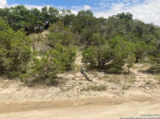 photo 3: LOT 38 Lake Dr, Spring Branch TX 78070