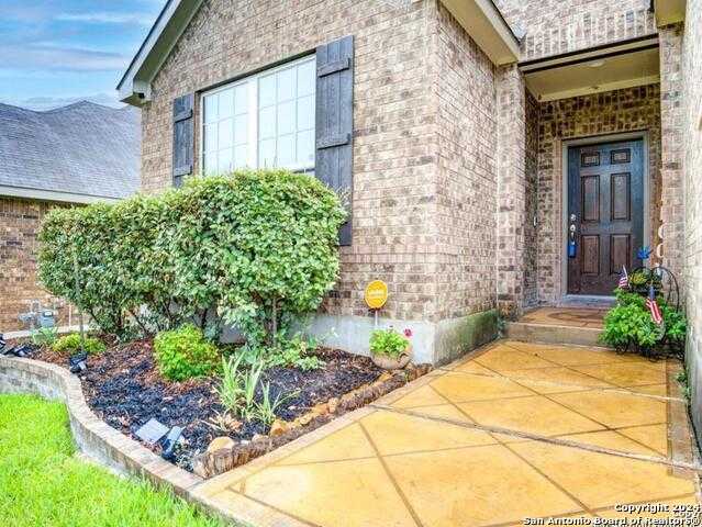 photo 3: 10608 Hibiscus Cove, Helotes TX 78023