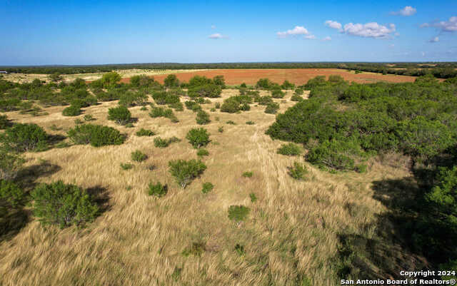 photo 3: TBD CR 653, Devine TX 78016