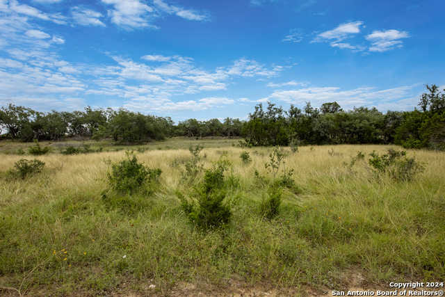 photo 3: 664 Travis Forest Drive, Bulverde TX 78163