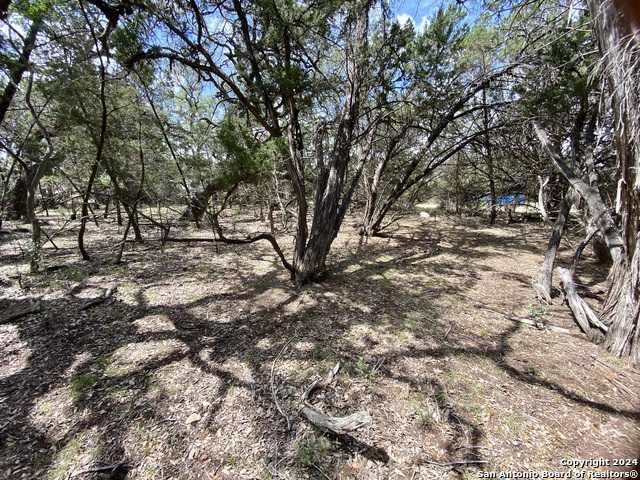 photo 3: LOT 38 Wyatt Earp, Bandera TX 78003