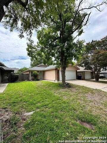 photo 2: 12022 Stoney Dr, San Antonio TX 78247