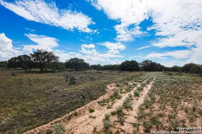 photo 1: 771 COUNTY ROAD 660, Devine TX 78016