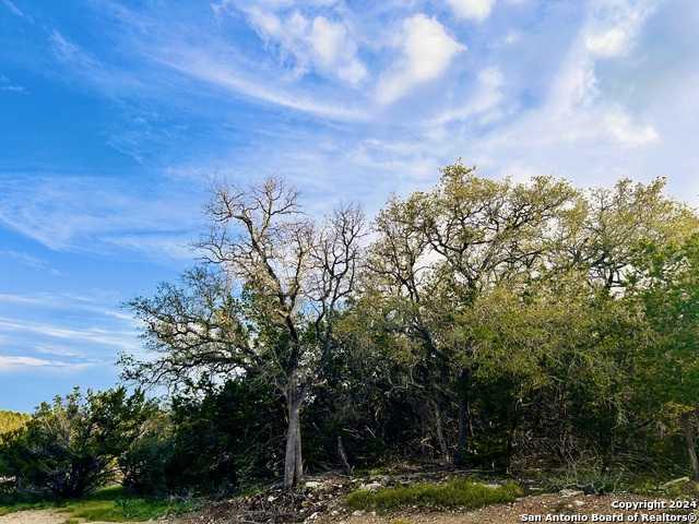 photo 2: 296 RESTLESS WIND, Spring Branch TX 78070