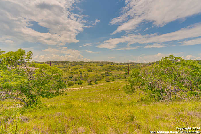 photo 1: 56 W Twisted Oak Drive, Blanco TX 78606