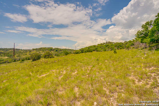 photo 3: 56 W Twisted Oak Drive, Blanco TX 78606