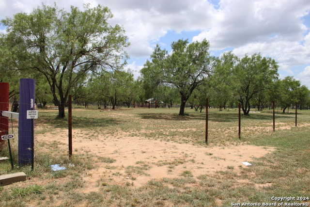 photo 1: 127 County road 2672, Devine TX 78016