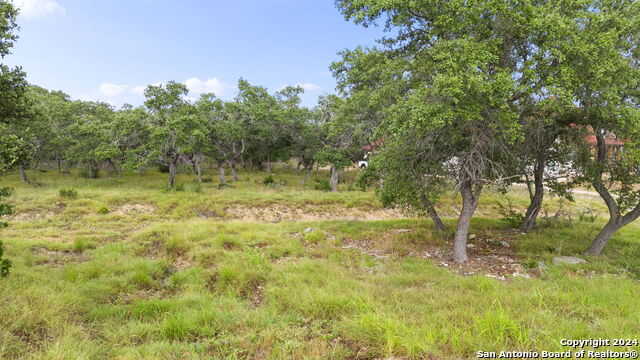 photo 3: 113 SABELLA, Spring Branch TX 78070