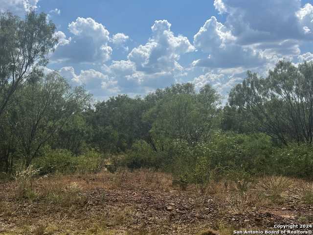 photo 2: 116 CR 2666, Moore TX 78057