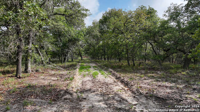 photo 16: TRACT 16 Sandstone Lane, Seguin TX 78155