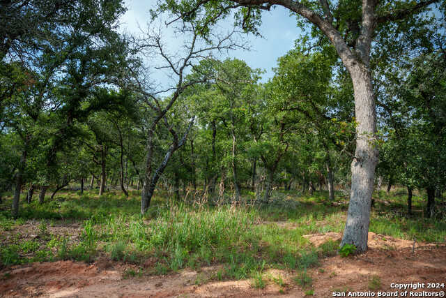 photo 2: TRACT 5 Sandstone Lane, Seguin TX 78155