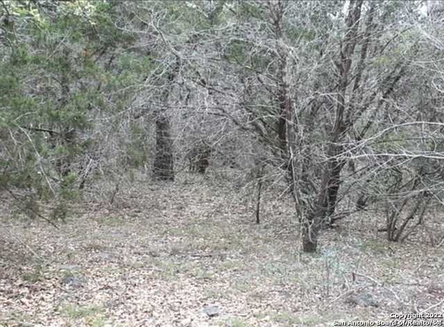 photo 2: 625 COUNTY ROAD 2763, Mico TX 78056