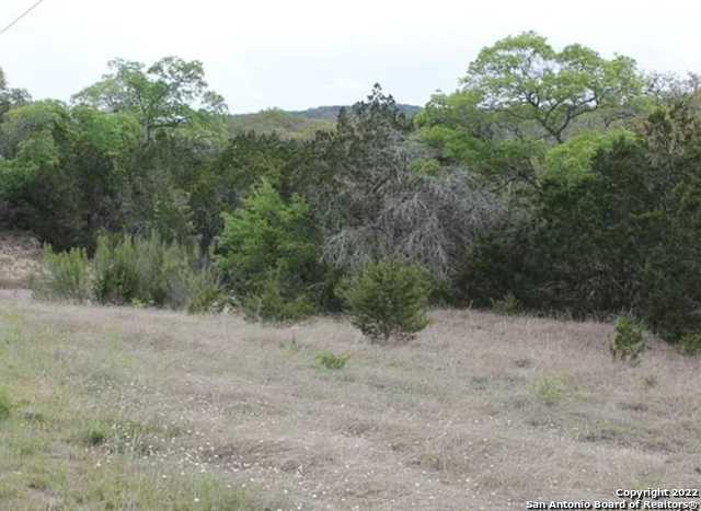 photo 3: 625 COUNTY ROAD 2763, Mico TX 78056