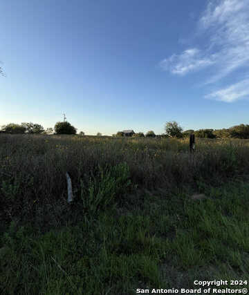 photo 3: 4925 Hardy Rd., Elmendorf TX 78112