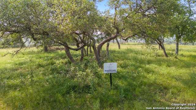 photo 1: LOT 206 Majestic Hills Dr, Blanco TX 78606