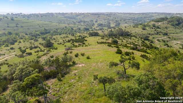 photo 3: LOT 206 Majestic Hills Dr, Blanco TX 78606