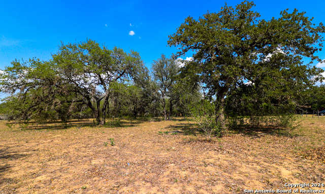 photo 1: Hardy Rd., Elmendorf TX 78112