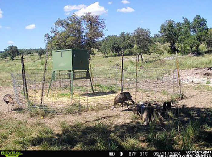 photo 26: CR 140, Junction TX 76849