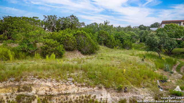 photo 3: 2159 SIERRA MADRE, Canyon Lake TX 78133