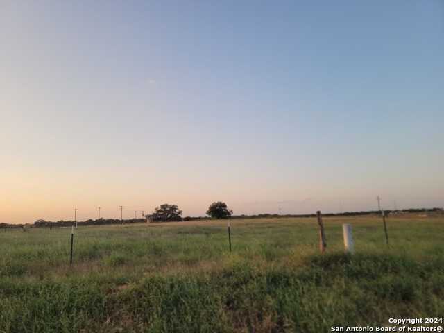 photo 3: 815 E FM 462, Moore TX 78057