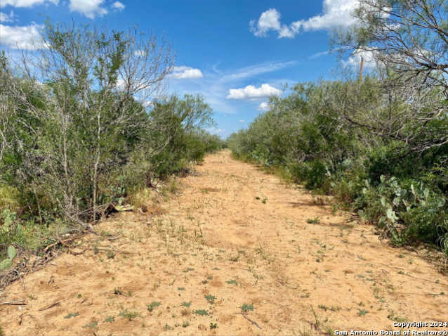 photo 1: Buddy's Lane, Carrizo Springs TX 78834