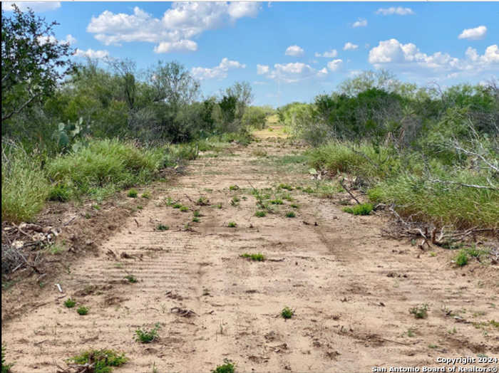 photo 12: Buddy's Lane, Carrizo Springs TX 78834