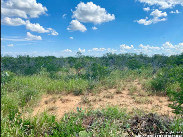 photo 2: Buddy's Lane, Carrizo Springs TX 78834