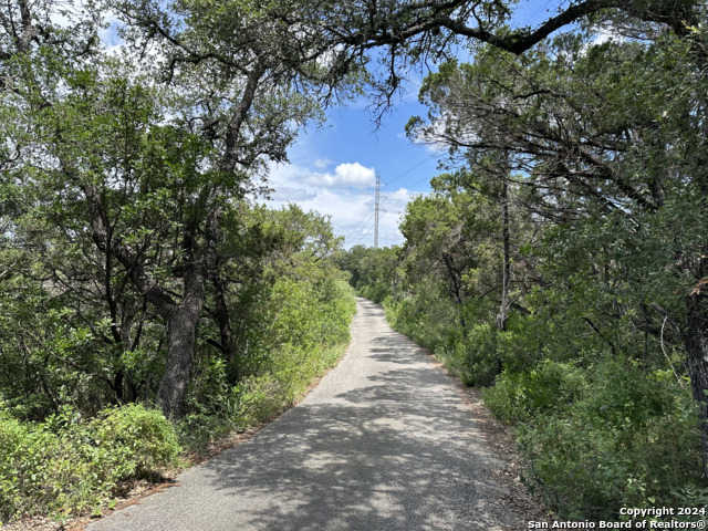 photo 3: Escarpment Oak, Helotes TX 78023