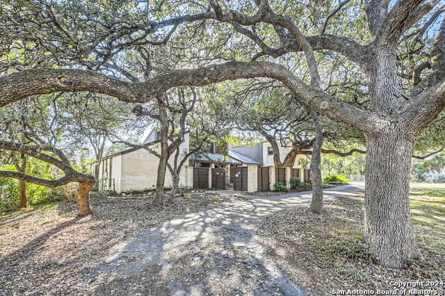 photo 3: 20686 TIMBER ROSE, Garden Ridge TX 78266