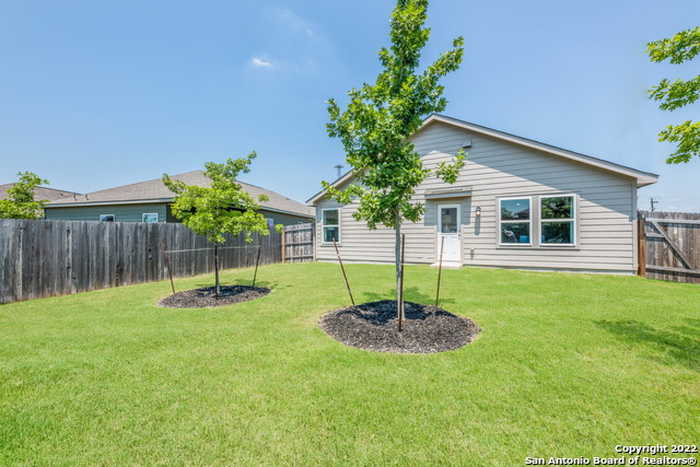 photo 23: 308 Crape Place, Jourdanton TX 78026