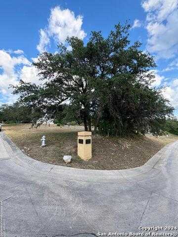 photo 3: 1438 WHISPER MTN, San Antonio TX 78258