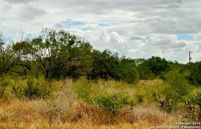 photo 1: 101 & 103 CR 2636, Devine TX 78016