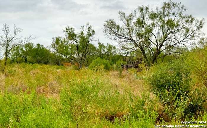 photo 2: 101 & 103 CR 2636, Devine TX 78016