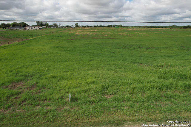 photo 3: 1351 county road 664, Devine TX 78016