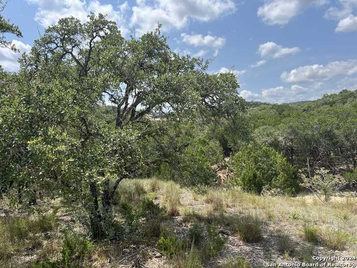 photo 1: 245 Sydney Springs, Helotes TX 78023