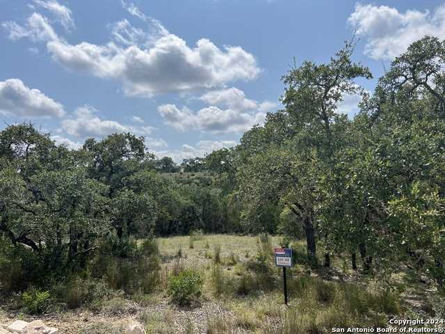 photo 2: 245 Sydney Springs, Helotes TX 78023