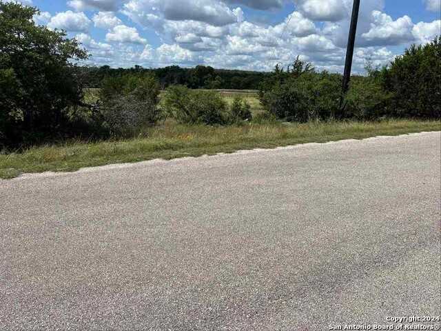 photo 3: 420 George Dolson, Blanco TX 78606