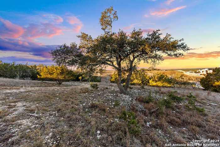 photo 1: 1069 E Purple Sage Trl, Blanco TX 78606