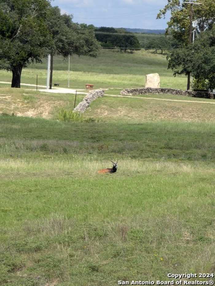 photo 20: LOT 22 N Scenic Hills Ct, Blanco TX 78606