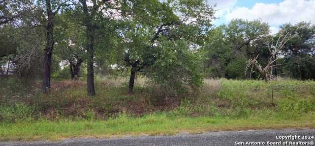 photo 1: 22722 Copper Canyon Drive, Elmendorf TX 78112