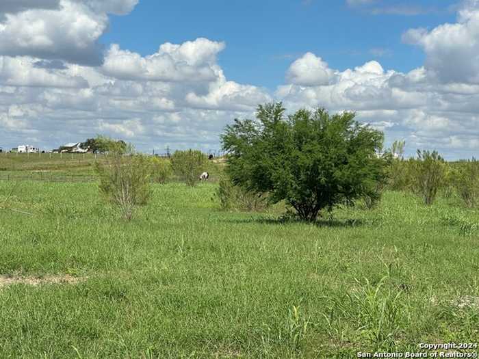 photo 2: 5353 LABUS RD, Elmendorf TX 78112