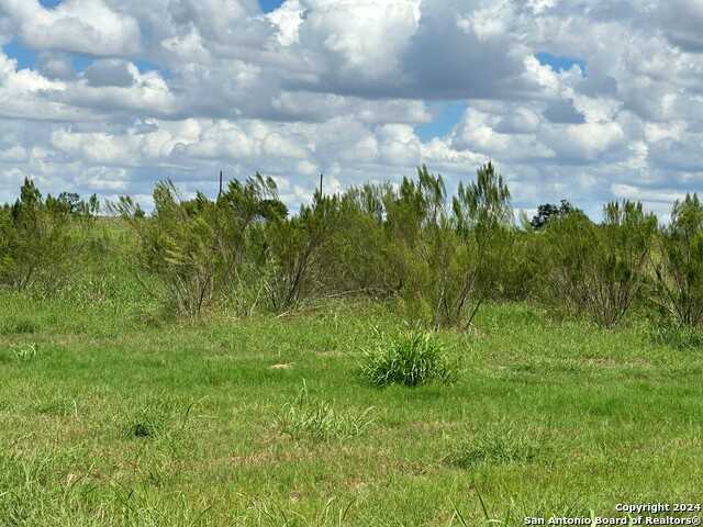 photo 3: 5353 LABUS RD, Elmendorf TX 78112