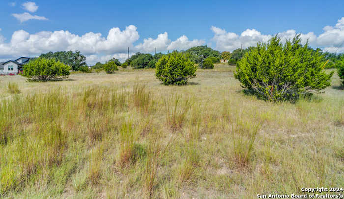 photo 13: 104 Serapia Garza, Blanco TX 78606